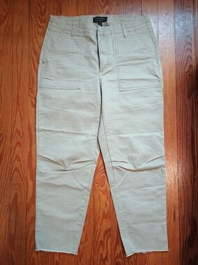 Banana Republic Sage Green Chinos